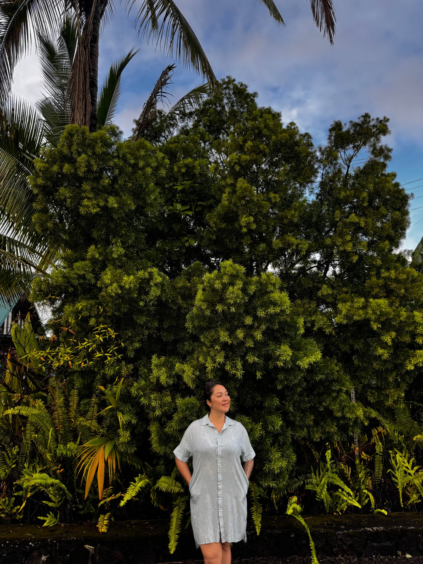 U’i Dress in Gray Hau